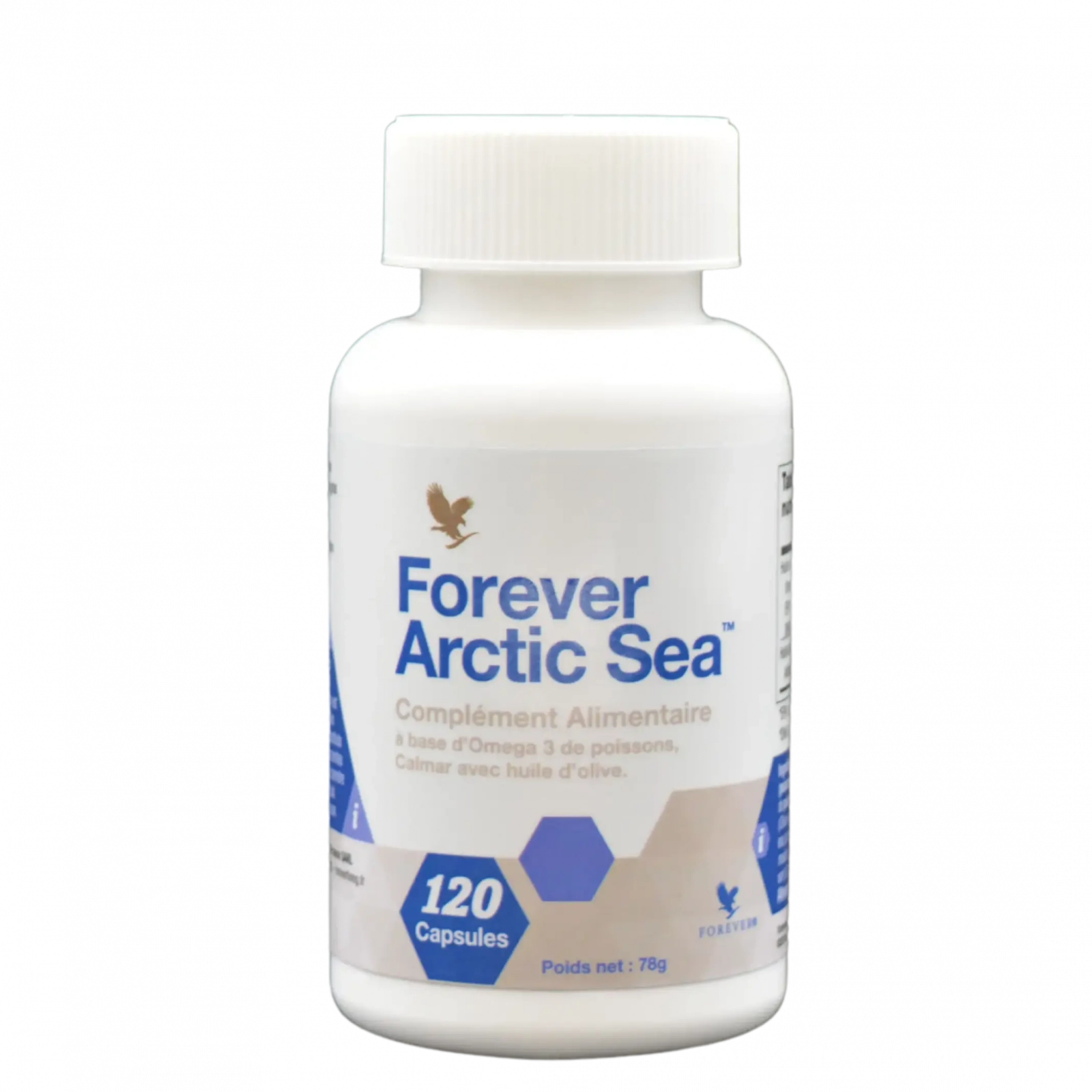 Forever artic sea